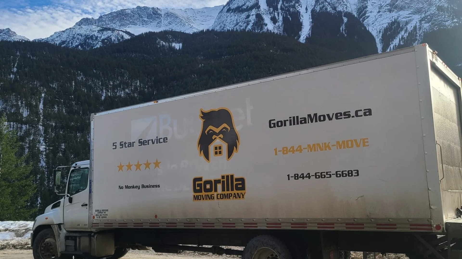 Gorilla Moves professional moving trucks servicing Abbotsford BC residential and commercial moves