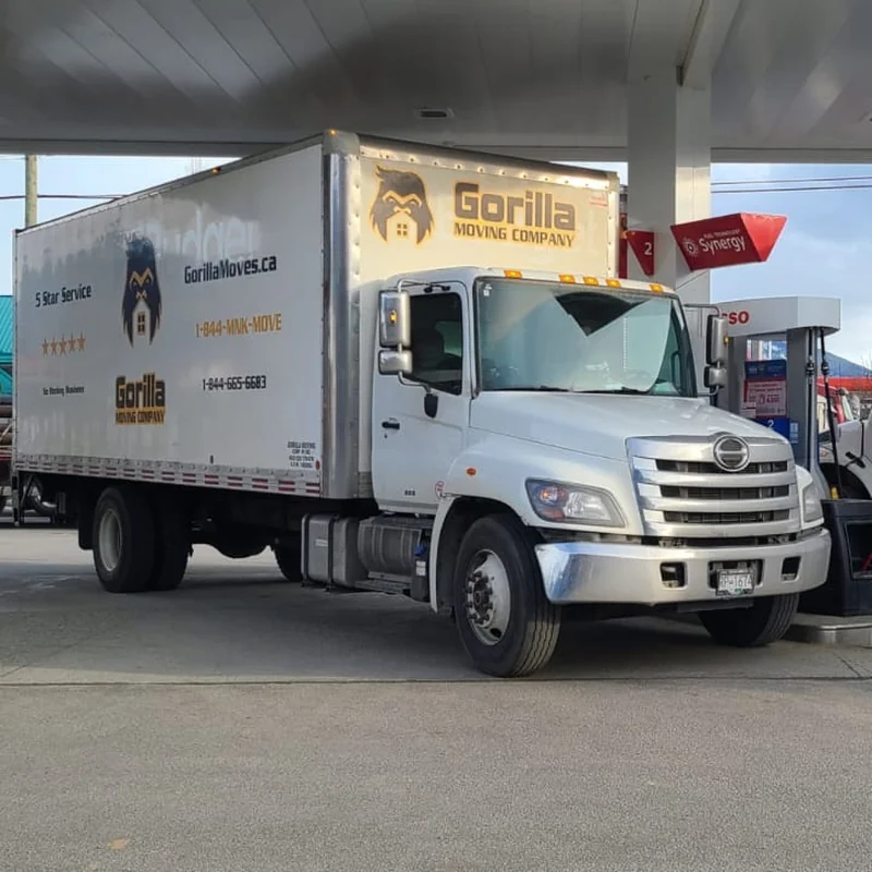 Gorilla Moves professional moving crew ready to service the Lower Mainland BC